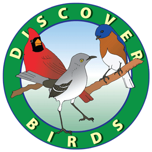 Discover Birds Logo