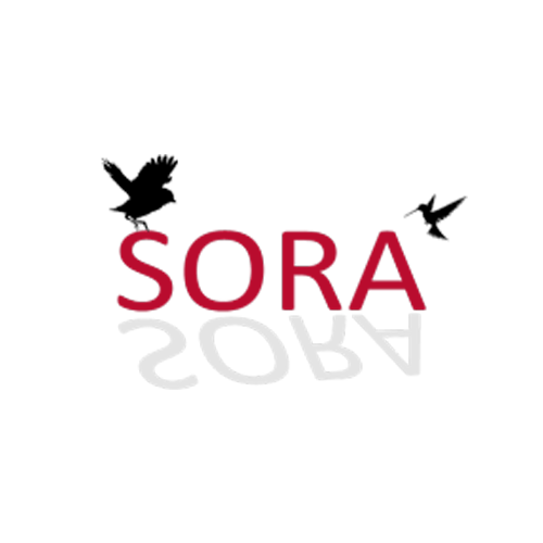 SORA Link