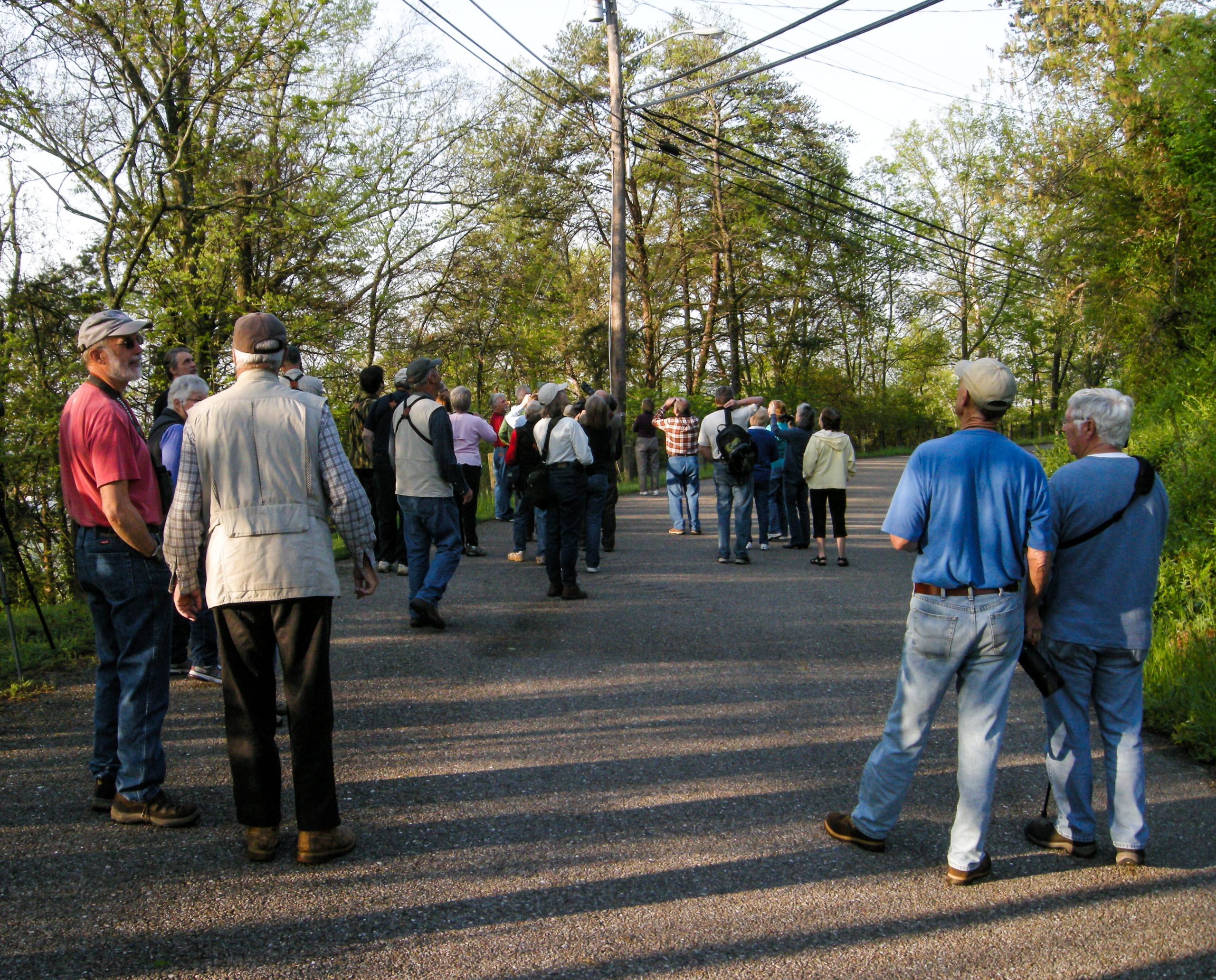 Birding at Sharps Ridge