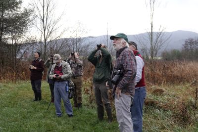 Bristoll Shady Valley Field Trip