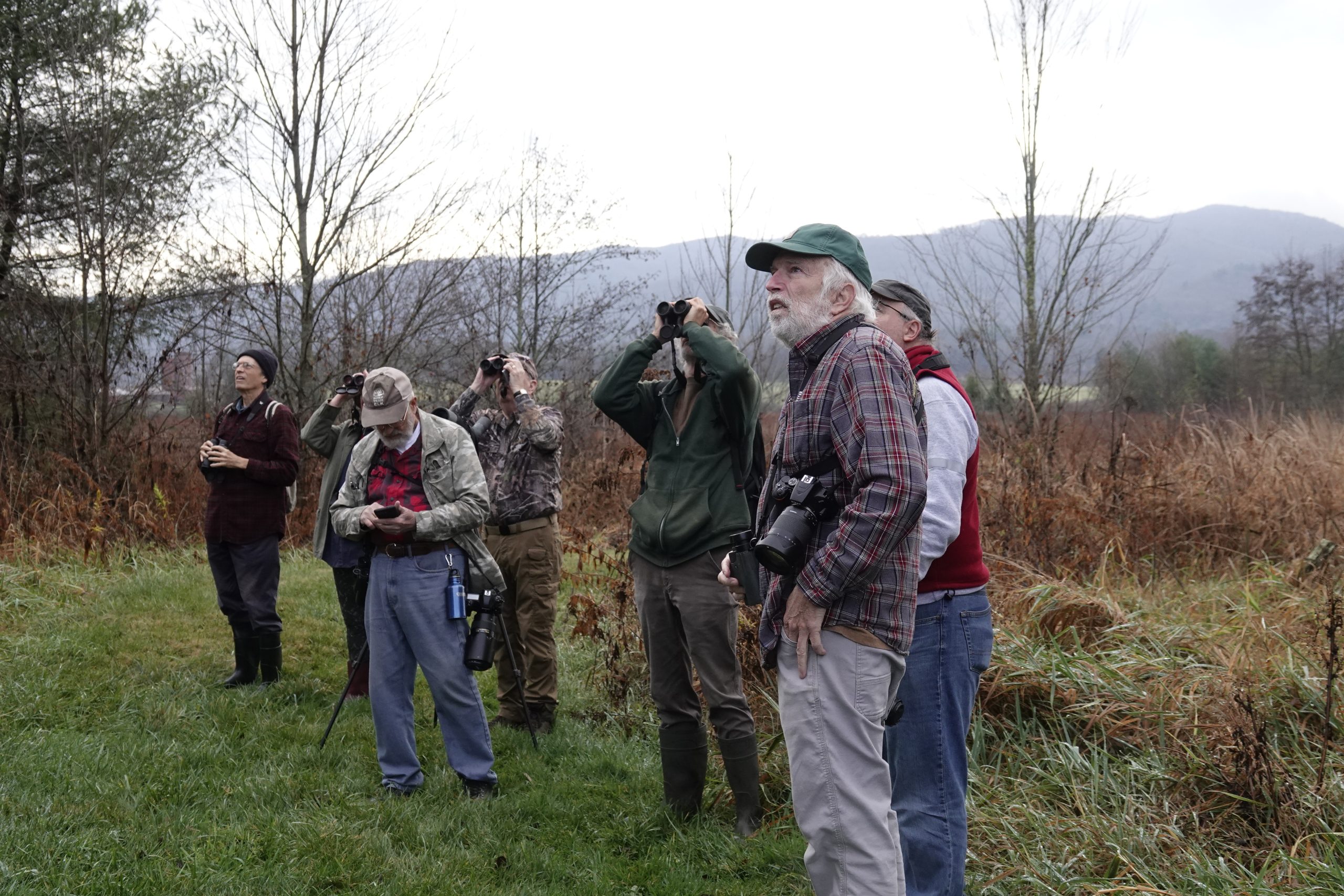 Bristol Shady Valley Field Trip