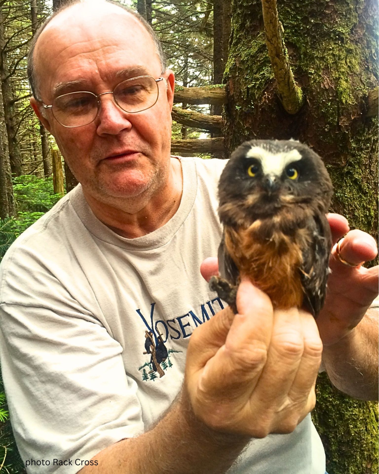 Richard Lewis w Owlet – photo Rack Cross_sized