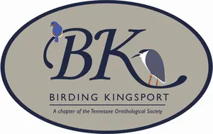 Birding Kingsport Logo – in color (1) Kingsport Logo