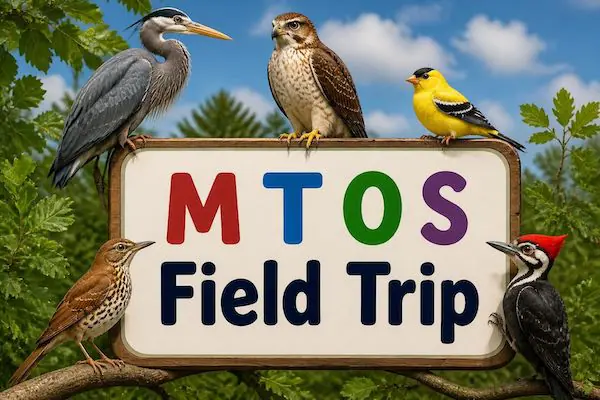MTOS Field Trip 4